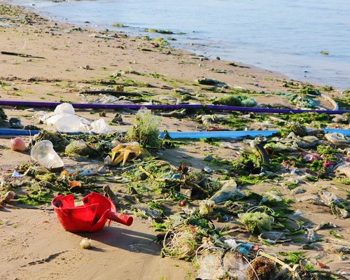 Ven biển và sự tràn lan của rác thải nhựa .
