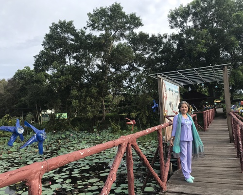 Chong chóng nhựa Vườn Quốc Gia Tràm Chim - Tam Nông Đồng Tháp