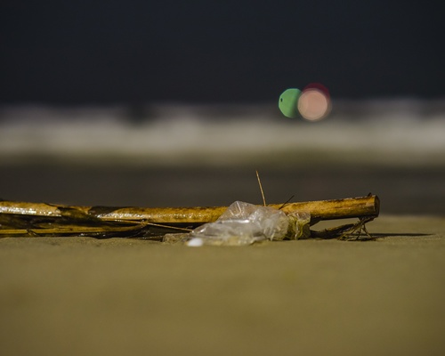 rác thải nhựa gây chết sinh vật biển