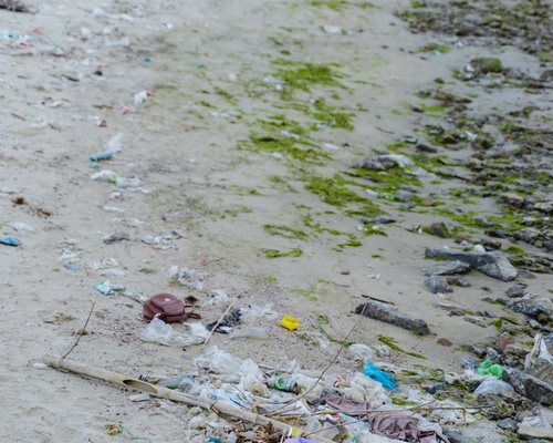 rác & ô nhiễm biển
