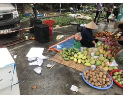 Vì túi nilon quá rẻ nên người ta dùng vô tội vạ và vứt đi không thương tiếc môi trường