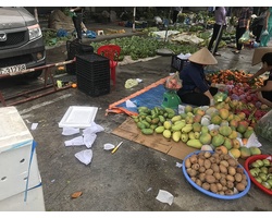 Vì túi nilon quá rẻ nên người ta dùng vô tội vạ và vứt đi không thương tiếc môi trường