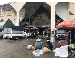 Vì túi nilon quá rẻ nên người ta dùng vô tội vạ và vứt đi không thương tiếc môi trường