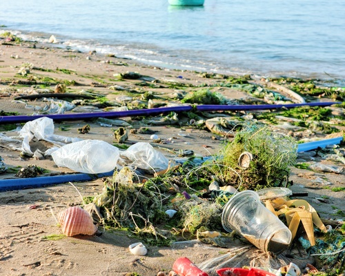 Rác thải nhựa , mối đe dọa của đại dương .