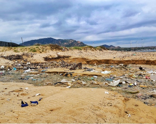 Cảnh vứt rác bừa bãi tại biển Sơn Hải, Ninh Thuận