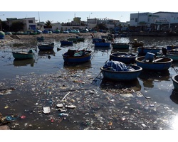 cảng cá phan thiết ô nhiệm rác thải