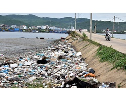 Tác hại của rác và môi trường