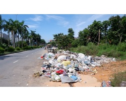 Tác hại của rác và môi trường